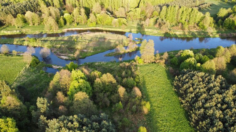 dji_fly_20240425_184840_471_1714064083585_photo_optimized